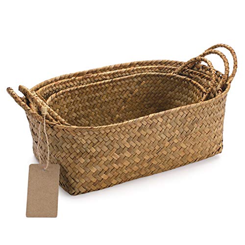 Cestini Portaoggetti in Vimini Cestini da Scaffale con Maniglie Seagrass Naturale Intrecciata Scatole Portaoggetti Ovale Set di 3 (Grande + Medio + Piccolo) Cestini Portaoggetti in Vimini Cestini da Scaffale con Maniglie Seagrass Naturale Intrecciata Scatole Portaoggetti Ovale Set di 3 (Grande + Medio + Piccolo)