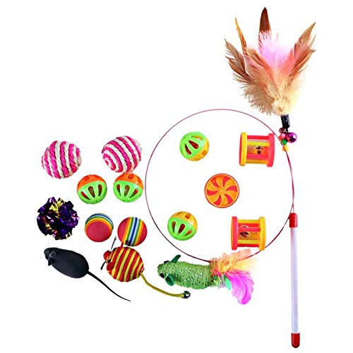 Fhodigogo Set di giocattoli per gatti 16 pezzi giocattoli per gatti per gatti domestici giocattoli teaser giocattolo gattino interattivo