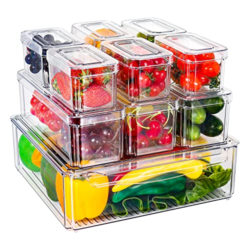 Diealles Shine Organizer Frigorifero, Set di 10 Contenitori Salvaspazio, Impilabili Organizzatore Frigo con Coperchio, Trasparenti per Cucina Ripiani